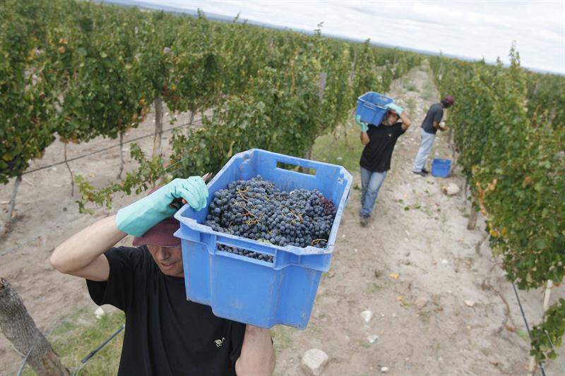 El Gobierno argentino desiste de aumentar el impuesto a los vinos y espumantes